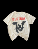DESTROY